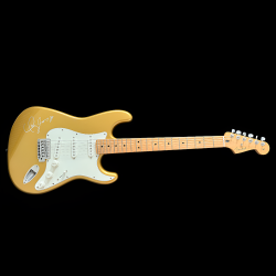 Authentic, Signed Taylor Swift Guitar