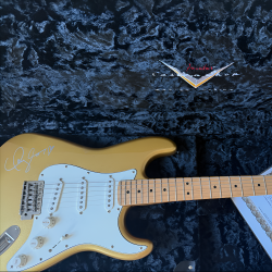 Original Taylor Swift Gitarre mit Unterschrift