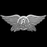 Joe Perry Gitarre mit Aerosmith Autogrammen