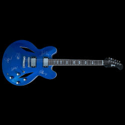 Original Signed Foo Fighters Guitar for Sale