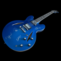 Original Signed Foo Fighters Guitar for Sale