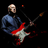 Buy a signed Mark Knopfler Guitar - Real Collector's Item, Certified