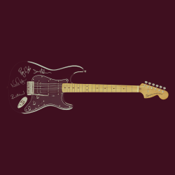 Pink Floyd Reunion Guitar Incl. Original Signatures – Rare Collectible