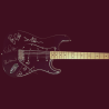 Pink Floyd Reunion Guitar Incl. Original Signatures – Rare Collectible