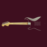 Pink Floyd Reunion Guitar Incl. Original Signatures – Rare Collectible