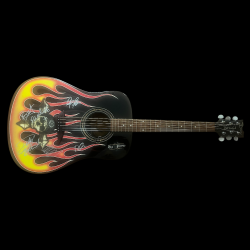 Legendäre Poison Gitarre mit Autogrammen – Sammlerstück!