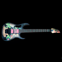 Steve Vai Ibanez Gitarre signiert von Steve Himself