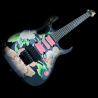 Signierte Steve Vai Gitarre kaufen - Sammlerstück für Gitarrenfans Signierte Steve Vai Gitarre kaufen - Sammlerstück für Gitarrenfans