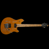 Van Halen Guitar Memorabilia – Original Autographs + COA
