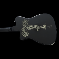 Johnny Depp Limited Edition Duesenberg Gitarre - Signature Design, Premium Sound
