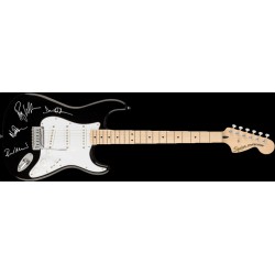 Pink Floyd Fender Stratocaster Gitarre signiert
